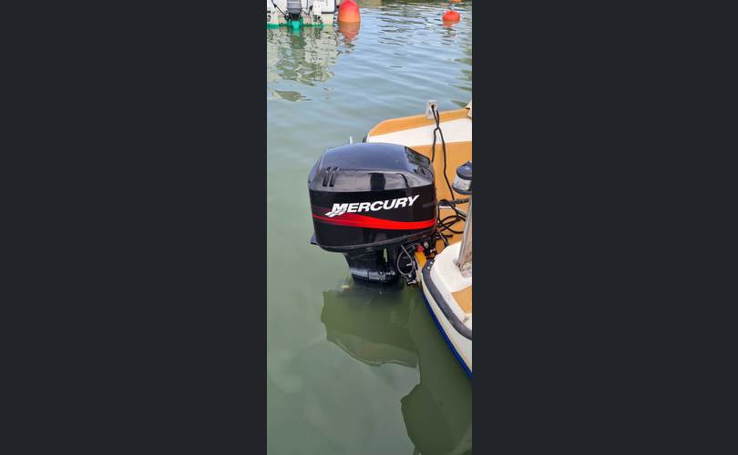 Terhi Monark 555-kuva-15